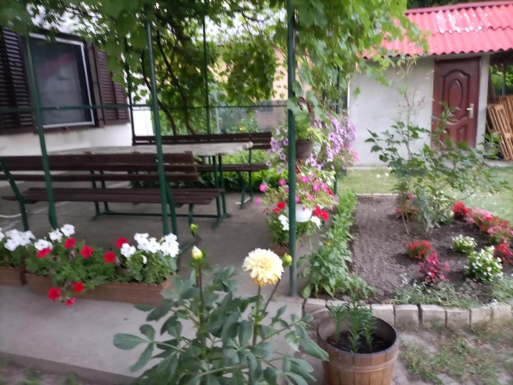 Palicka Ruza - Palic Rose Hotel Luaran gambar